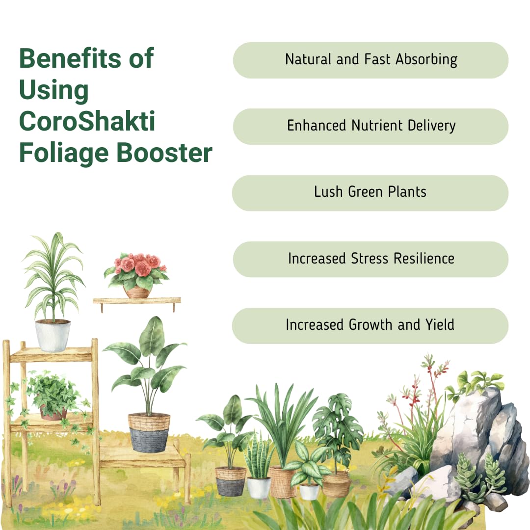 coroshakti benefits