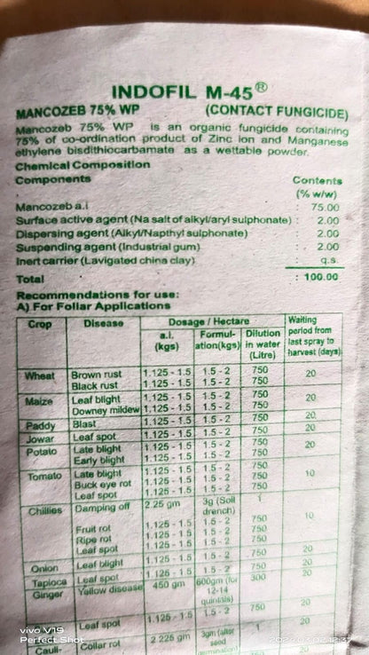 इंडोफिल एम-45 पौधों के लिए कवकनाशी (100 ग्राम) + डीएपी (300 ग्राम) दस्ताने के साथ।