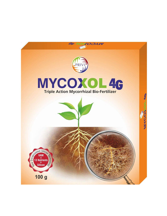 Privi Mycoxol 4G-100gm