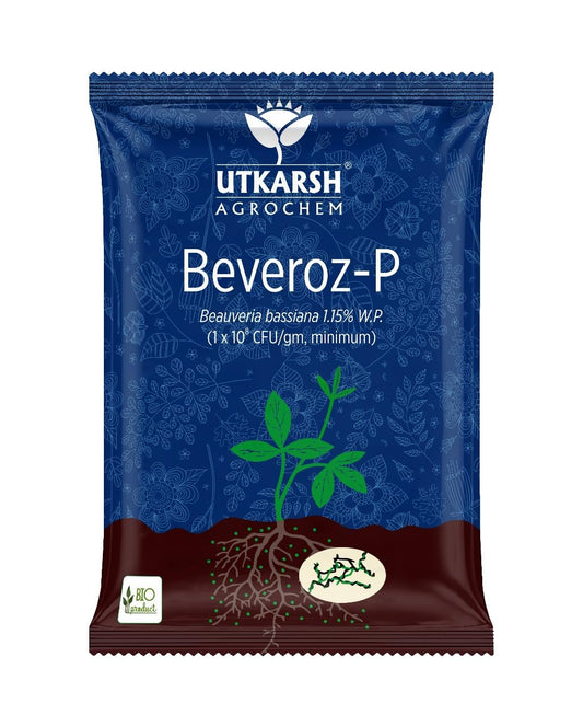तुमच्या शेतातील आणि घरातील बागेतील किडींसाठी नैसर्गिक उपाय - Beauveria bassiana!