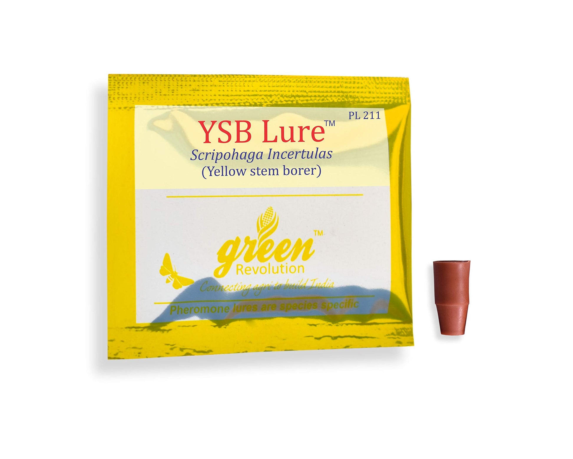 yellow stem borer trap