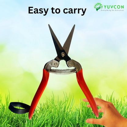Yuvcon Pruner Snips Scissor Stainless Straight Blade Fruit Snips Non-Slip, Compact Pocket Friendly Fruit Snip, Harvesting Herbs, Fruits or Vegetables
