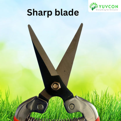 Yuvcon Pruner Snips Scissor Stainless Straight Blade Fruit Snips Non-Slip, Compact Pocket Friendly Fruit Snip, Harvesting Herbs, Fruits or Vegetables