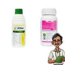 alika pesticide
