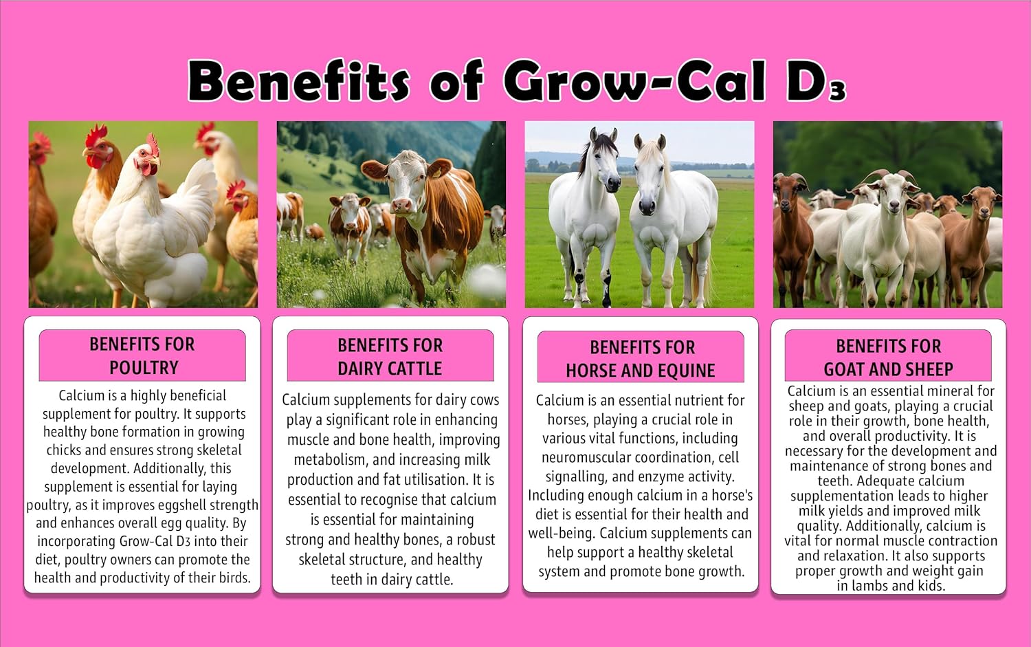 Calcium supplement for poultry