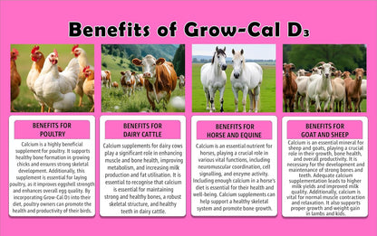 Calcium supplement for poultry