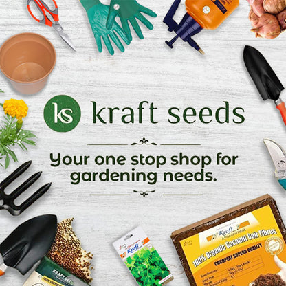 Kraft Seeds Hand Weeder - 1 Pc (Orange Handle, Black Blade) | Weed Remover Agriculture Tool for Gardens |Weeding Tool for Terrace Garden |Durable Hand Weeder for Garden |Garden Plants Weeder for Lawn