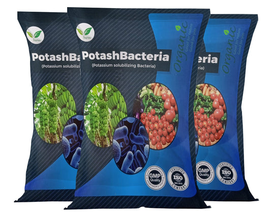 Iagrifarm Potash Bacteria Powder: Unleash the Power of Your Soil, Multiply Your Harvest!