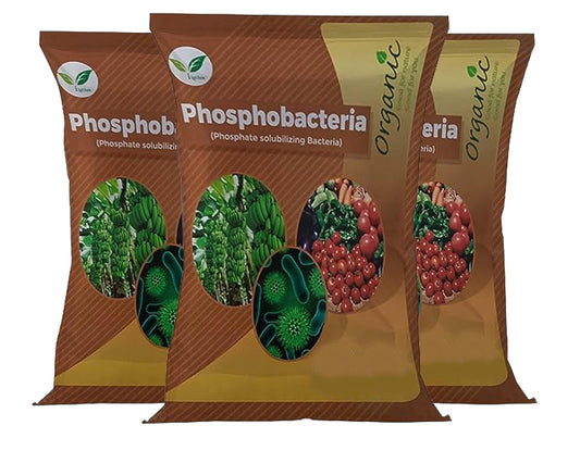 Iagrifarm Phosphobacteria Powder Growth Promoter- 3 Kg -for All Plants