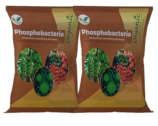 Iagrifarm Phospho Bacteria Powder Growth Promoter - 2 Kg - for All Plants