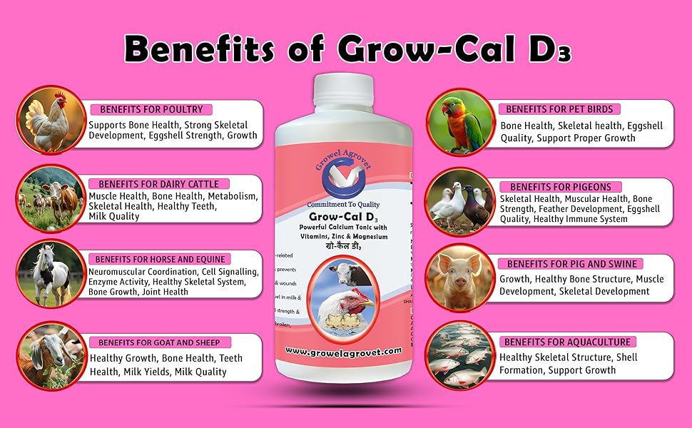 Benefits of Animal supplement