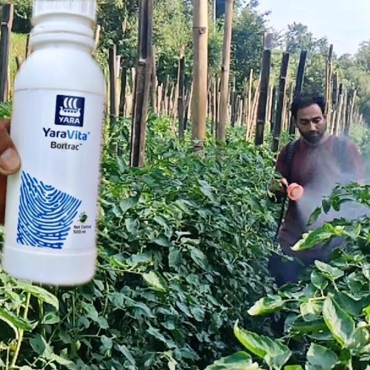 Liquid boron fertilizer