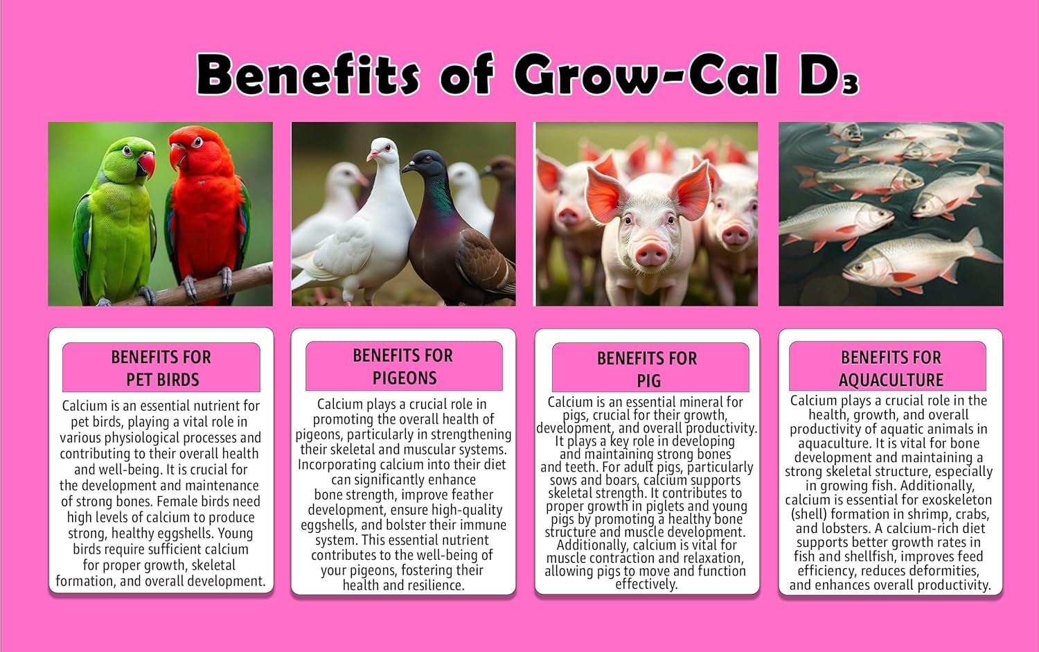 Cattle calcium supplement