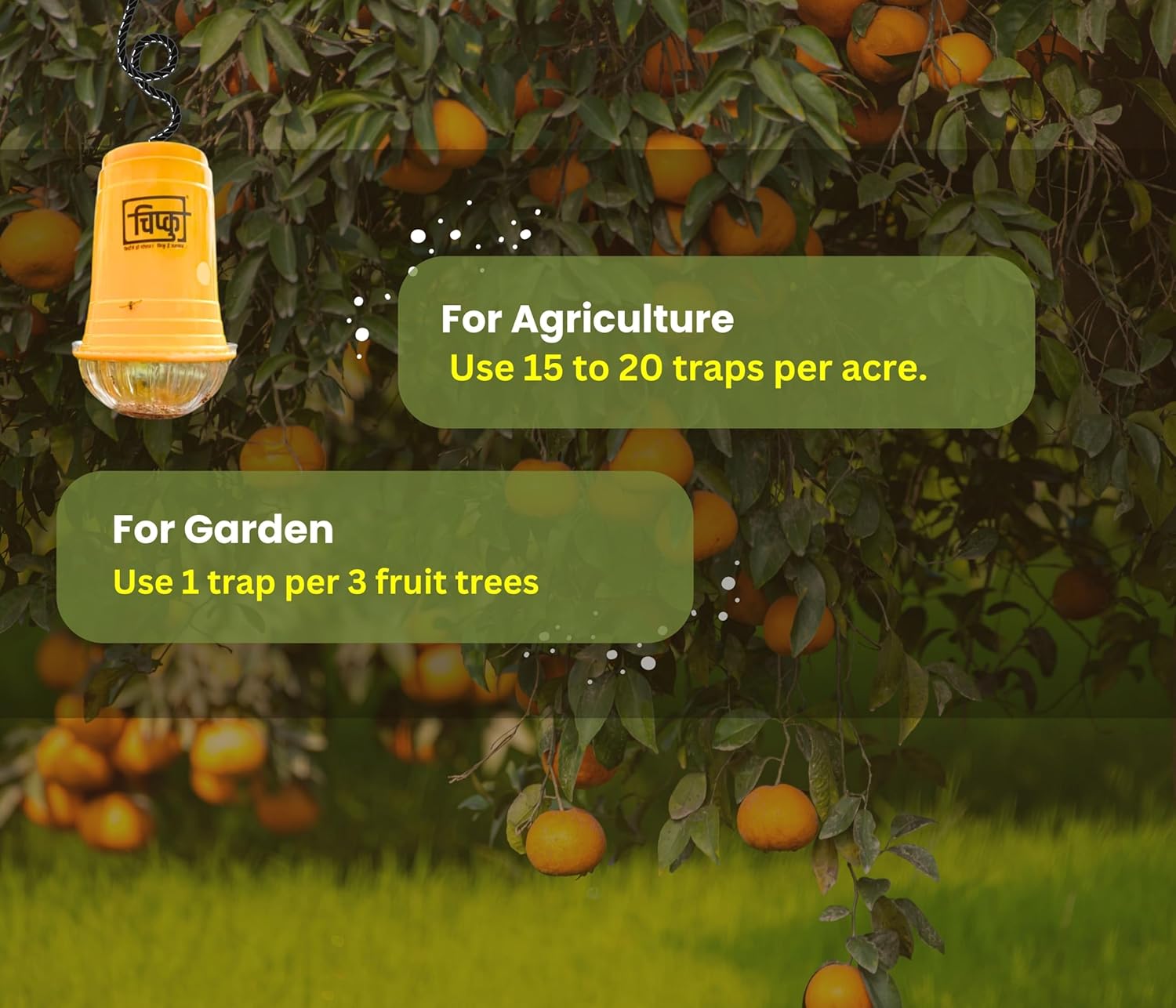 how many fruit fly traps to install in 1 acre