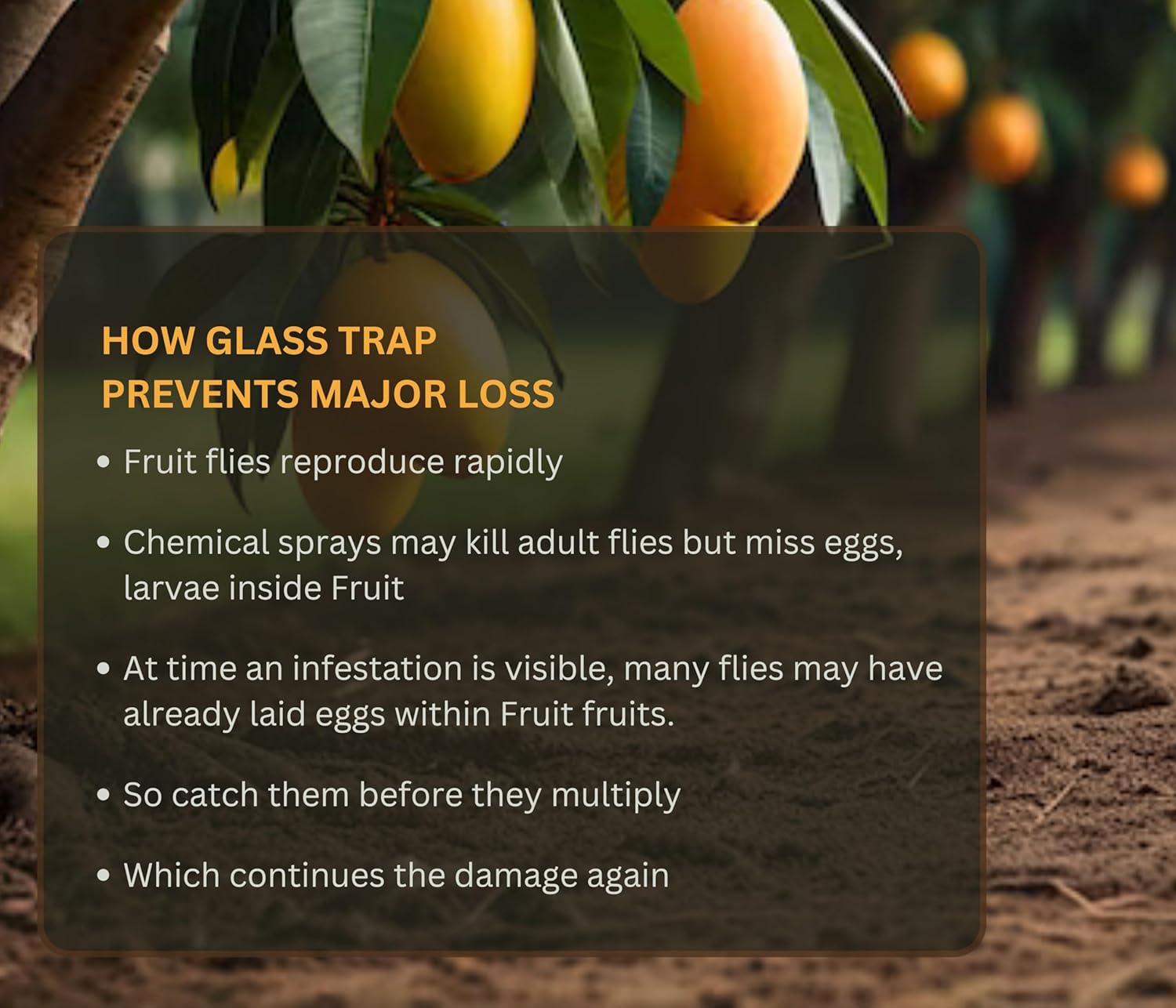 why use glass trap