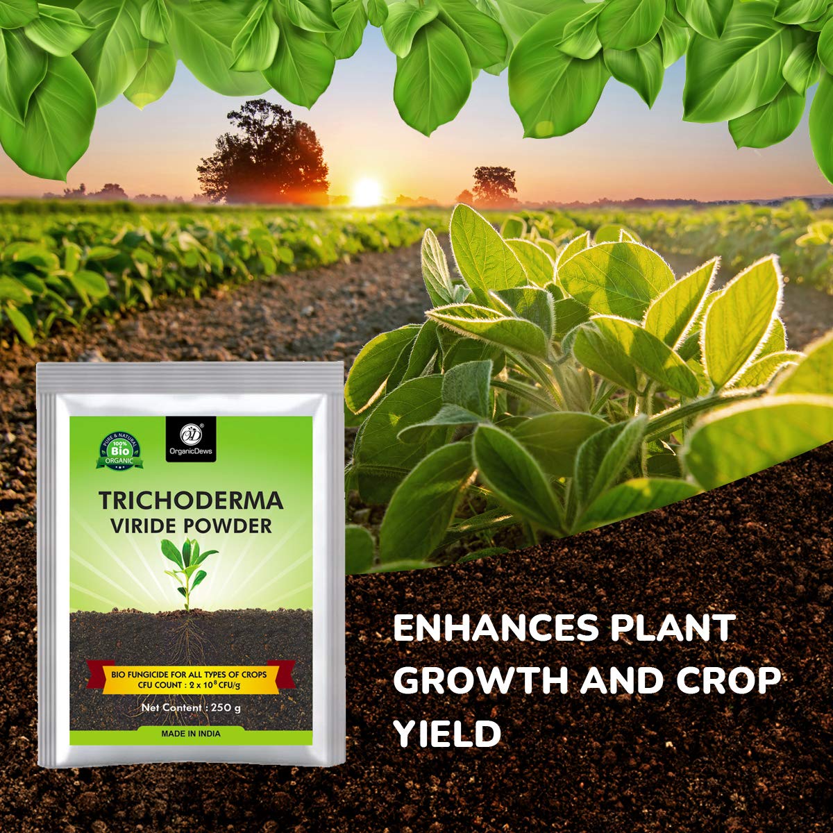  Trichoderma powder benefits to crop