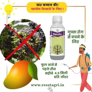 वीएबी प्लानोफिक्स 200 एमएल (100 एमएल का पैक 2 नं) प्लांट ग्रोथ प्रमोटर