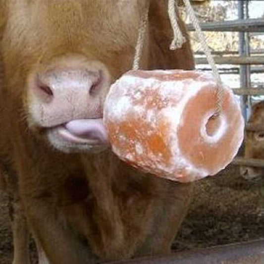 Livestock minerals