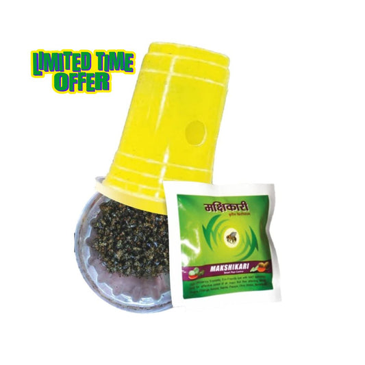 best fruit fly trap