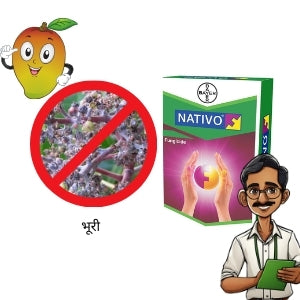control powdery mildew in mango with nativo