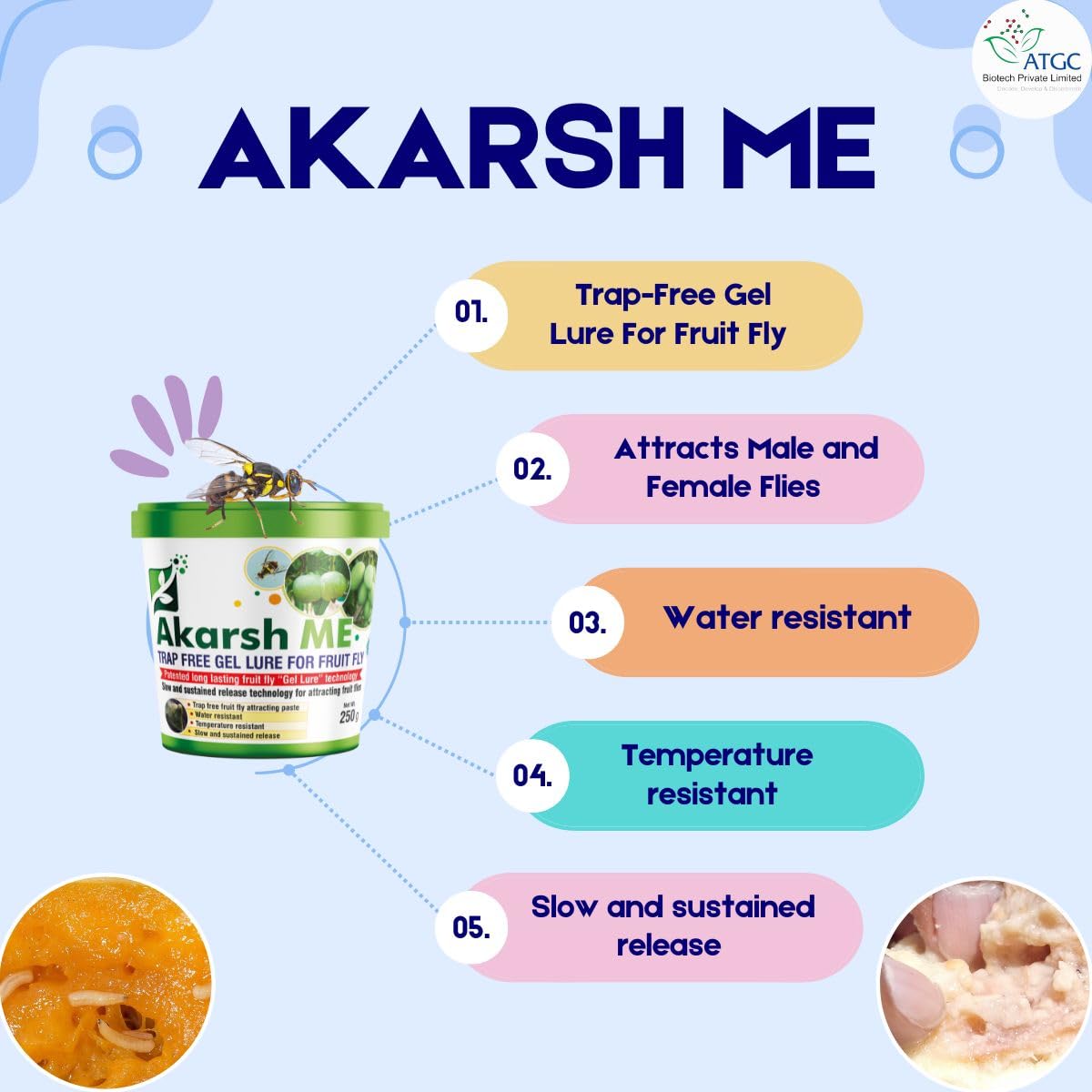 akarsh me fruit fly paste