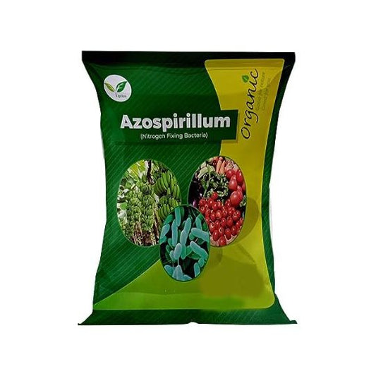 Azospirillum Biofertilzier
