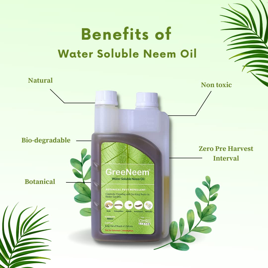 buy neem oil