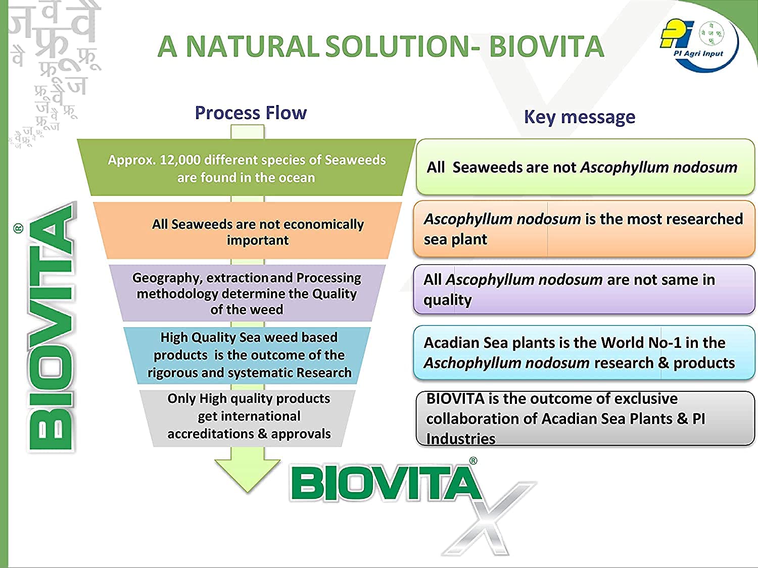 Ascophyllum nodosum biovita