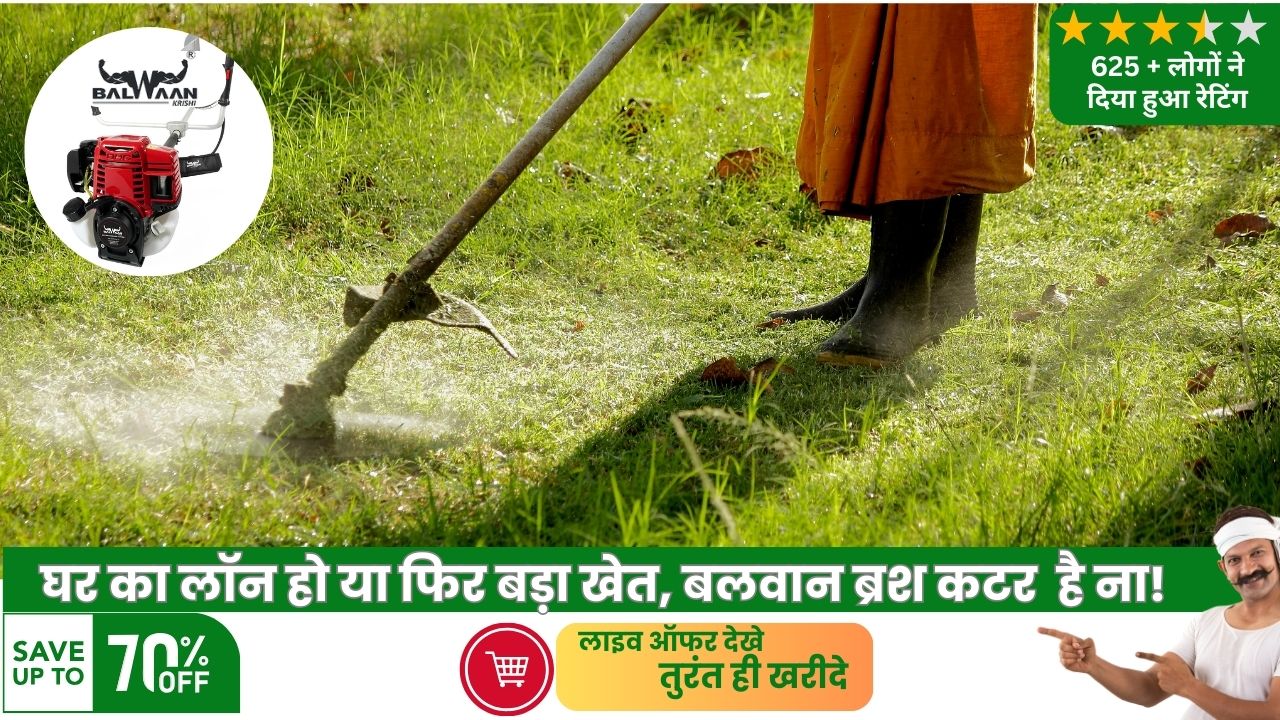 Brush cutter price