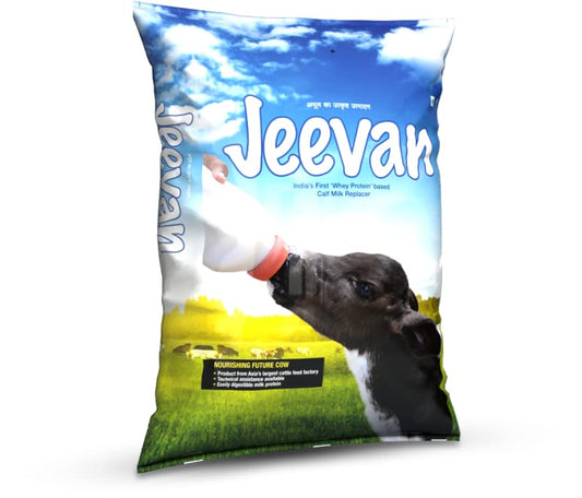 Healthy Calves, Happy Wallet: Save Big on Calf Feed!