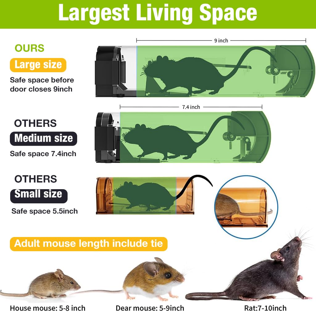 catch bigger rats