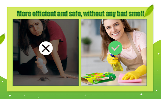 Royalkart Glue Traps With Bait, Great for Home with Kids & Pets Indoor, Sticky Pest Control Trap, Cockroach Killer Traps for Insects Pack of 10