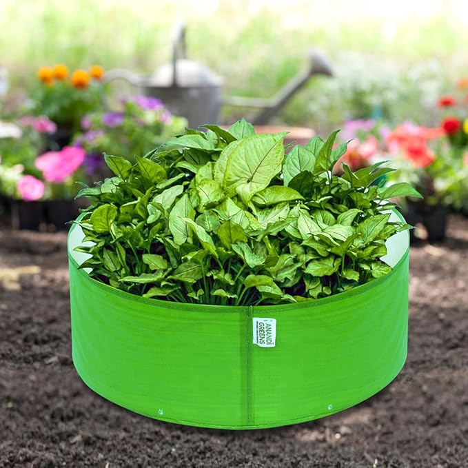 grow bag for leafy vegetable
