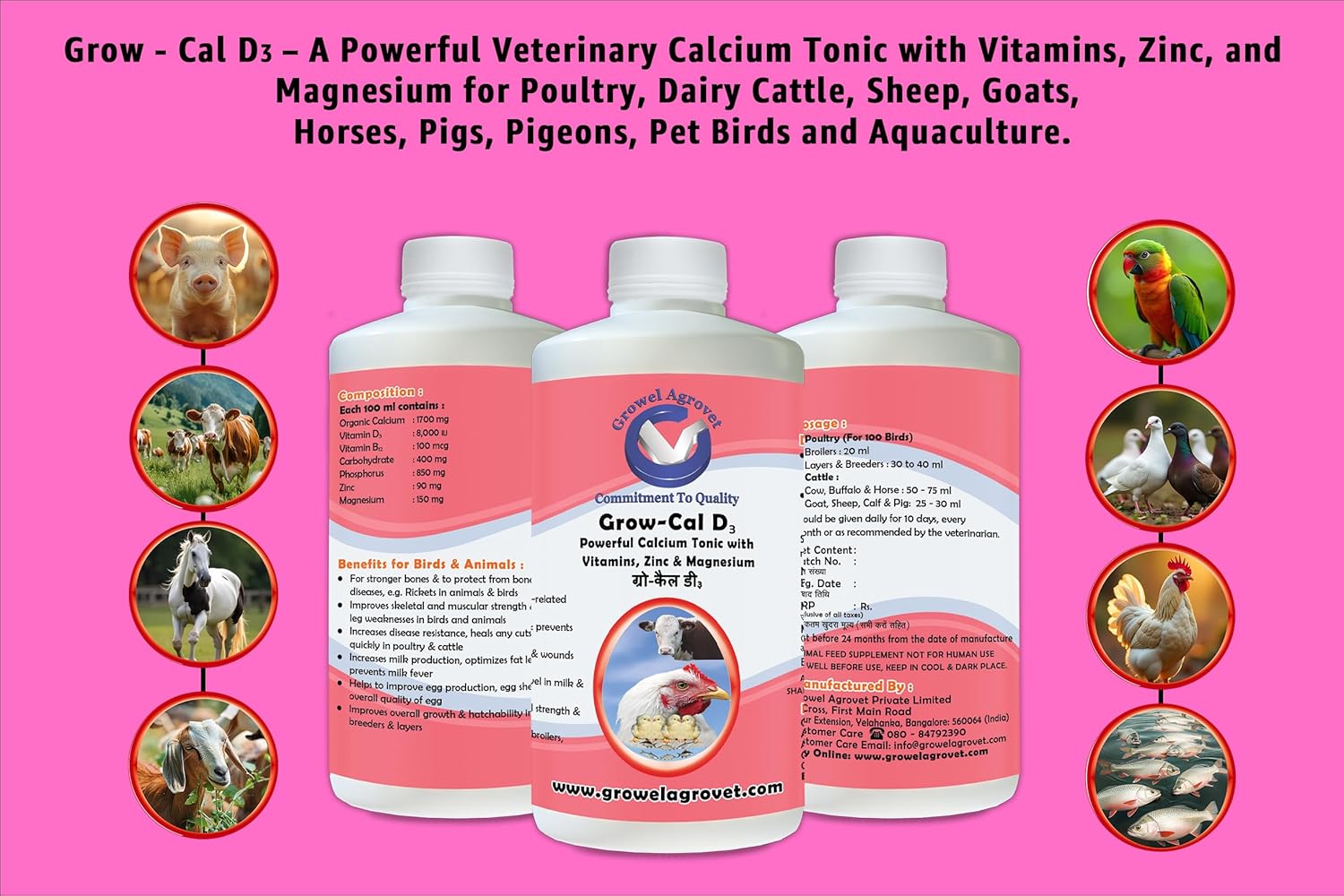 Animal health supplement