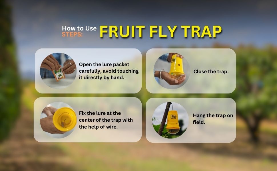 steps to install fruit fly trap