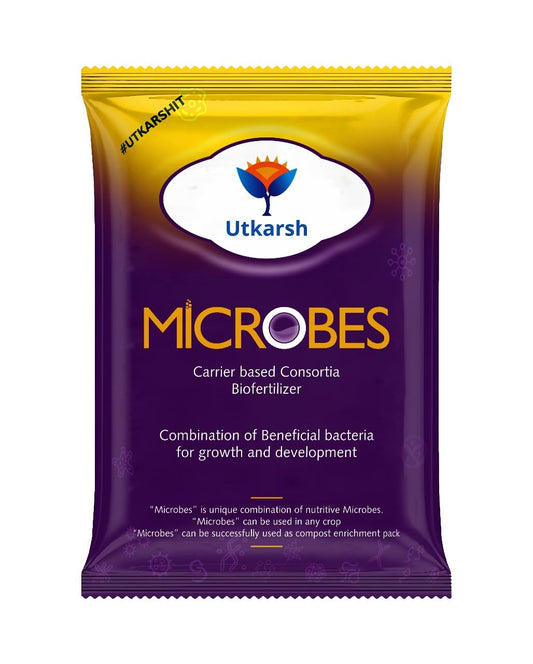 consortium biofertilizer