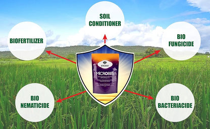 Benefits of biofertilzier