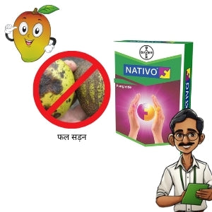fruit rot control
