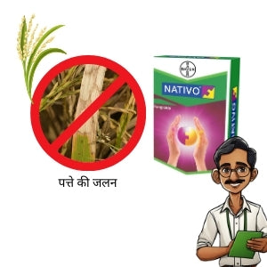 leaf blight control