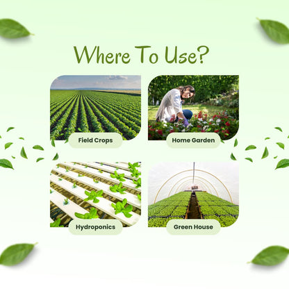 neem oil discount