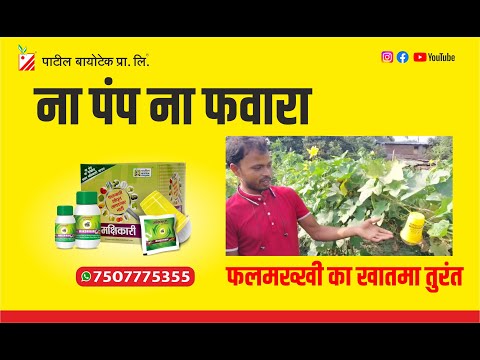 furit fly control without pesticide spray