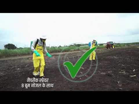 बीएएसएफ ज़िदुआ