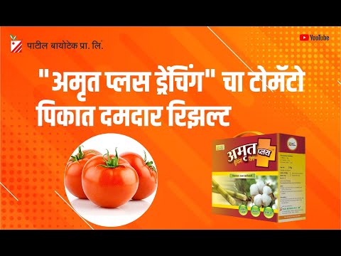 amrut drenching kit for tomato