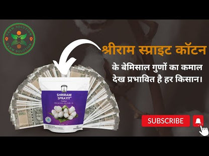 श्रीराम स्प्रेइट कॉटन 1 किलोग्राम जैवउर्वरक प्रभावी प्रजनन के लिए पौधों को ऊर्जा प्रदान करता है | सब्जियों और पौधों के लिए जैव उर्वरक | पर्ण स्प्रे | वनस्पति अवस्था | फूल आने से पहले की अवस्था