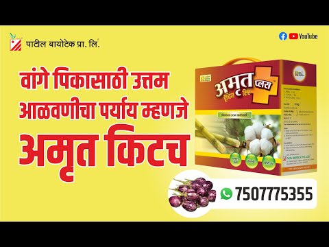 Amrut drenching kit for brinjal