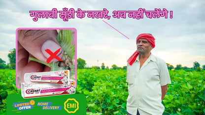 CREMIT PBW for Pink Bollworm Management