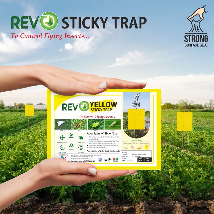 rev sticky trap to control flying insects