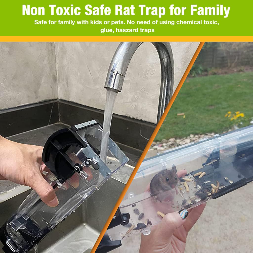 safe mouse trap price