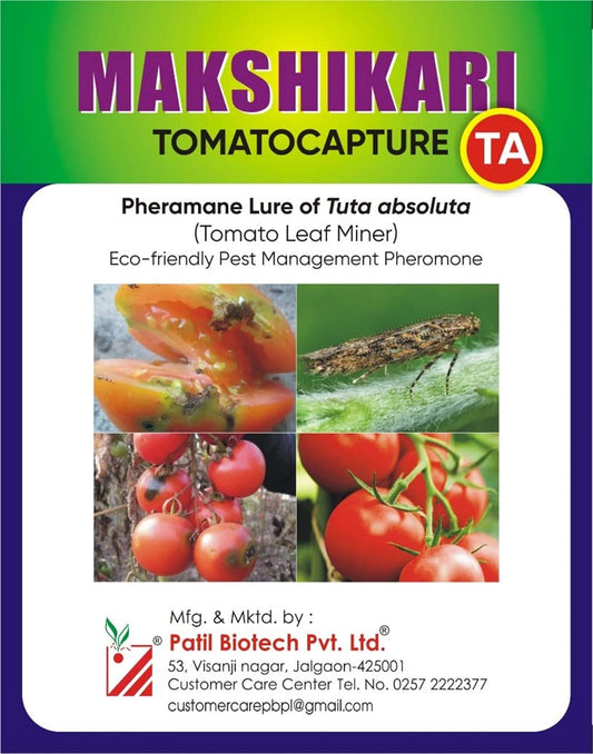 tomato leaf miner pheromone trap