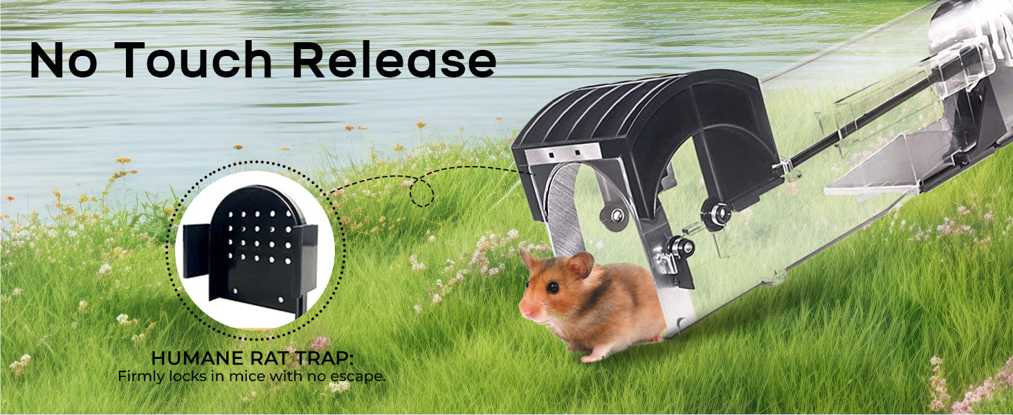 trap to release rat without touch